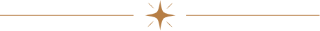 Sparkle icon