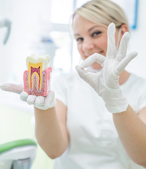 Woman in white gloves holding model tooth and making ‘ok’ symbol with other hand